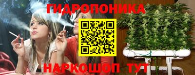 дживик Аша
